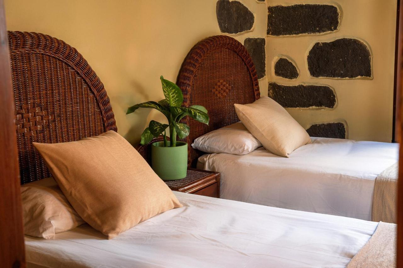 Hotel Rural Coliving Los Realejos Santa Cruz de Tenerife Ngoại thất bức ảnh